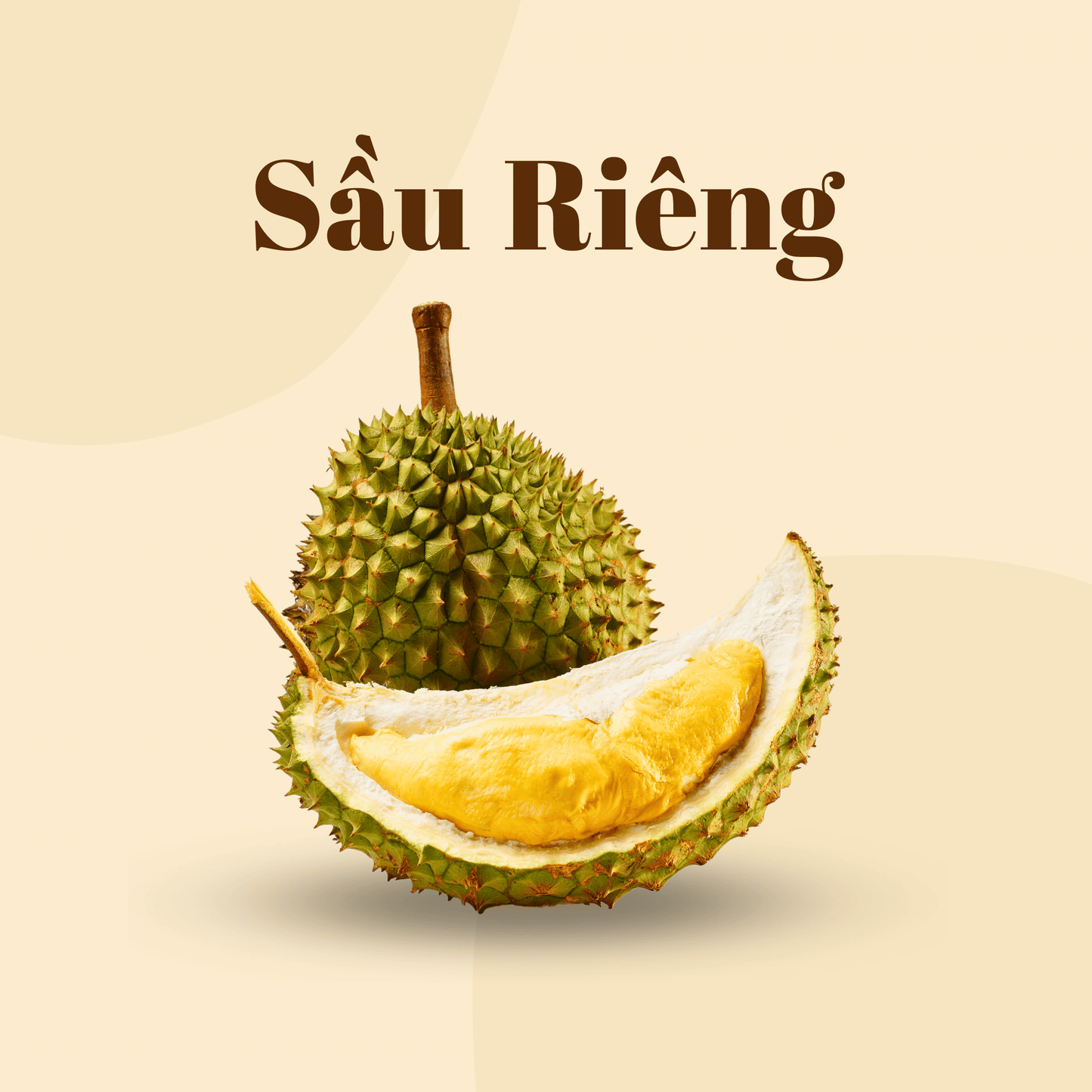 Sầu Riêng Ri6 | Durian Ri6 | Frozen