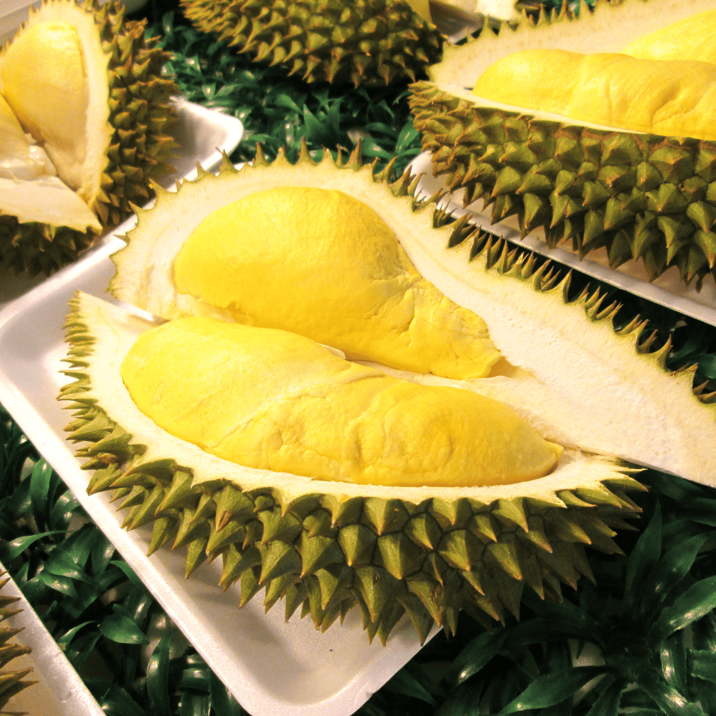 Sầu Riêng Ri6 | Durian Ri6 | Frozen
