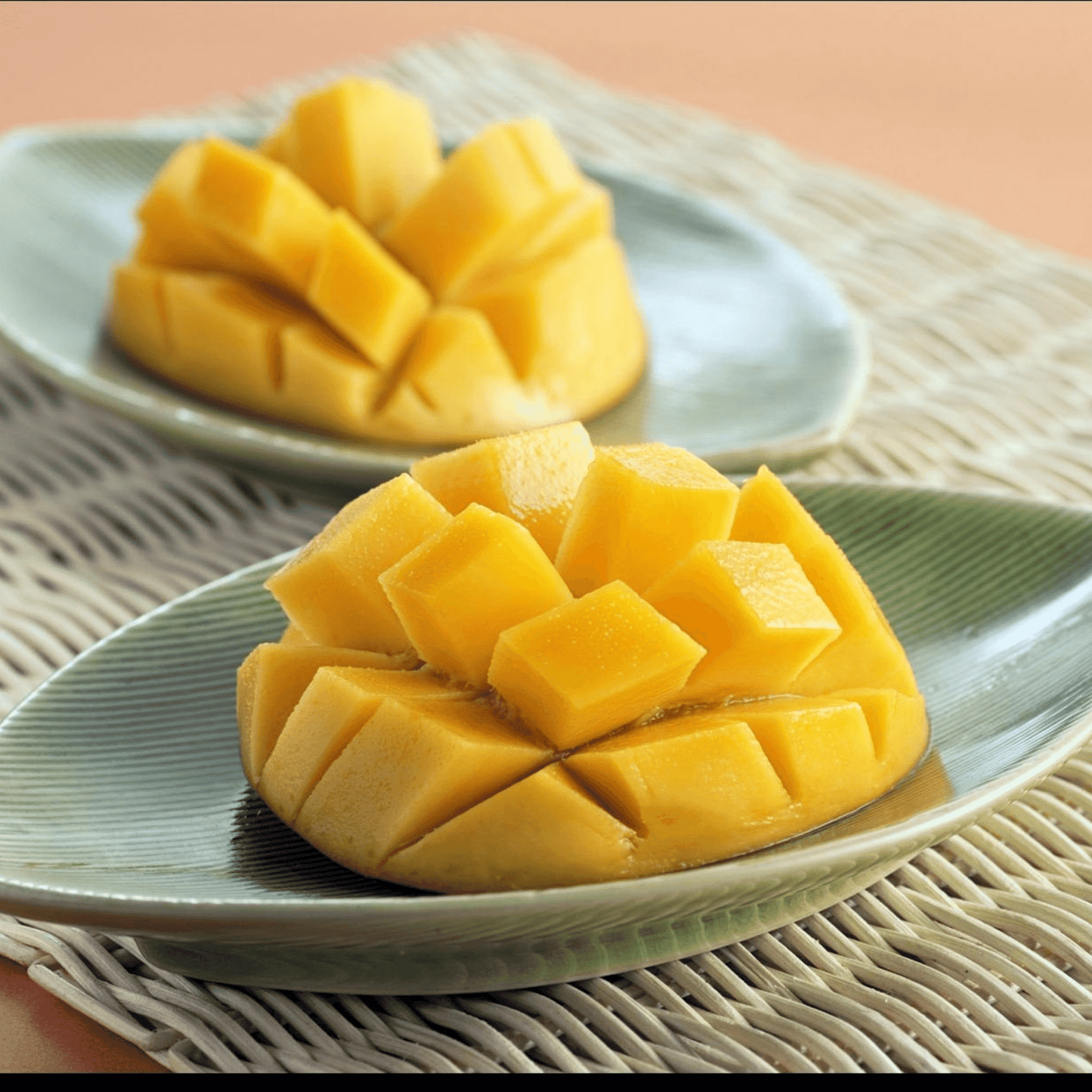 Xoài Cát Hòa Lộc | Hoa Loc Mango
